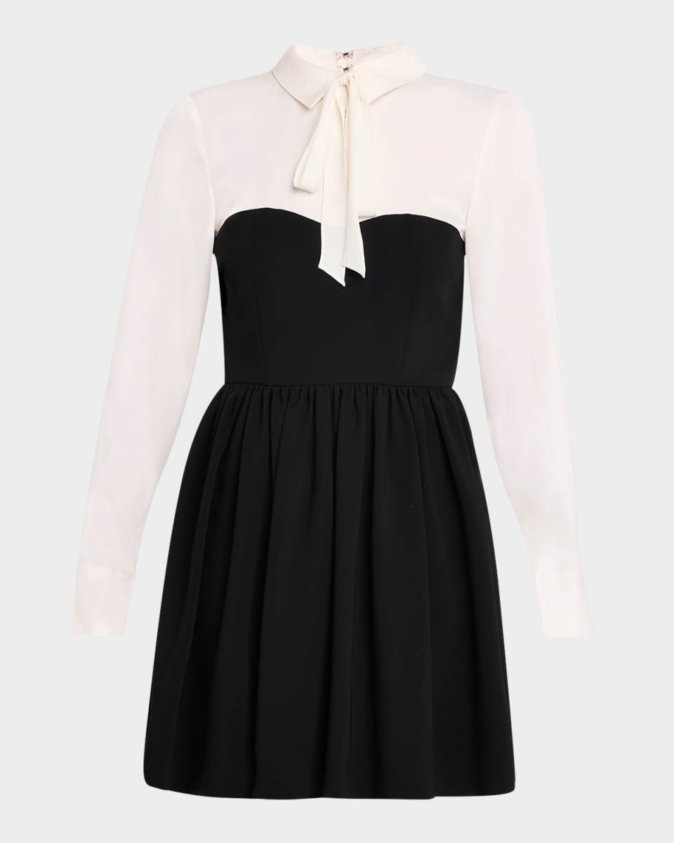 Naska Long-Sleeve Tie-Neck Mini Dress
